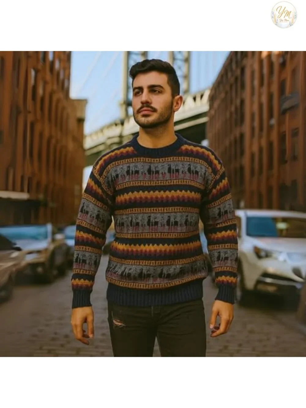 Genuine Alpaca Wool Men's Pullover Sweater Crewneck Winter Knit